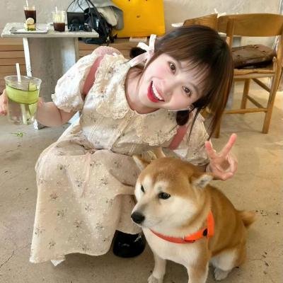 公主驾到2019